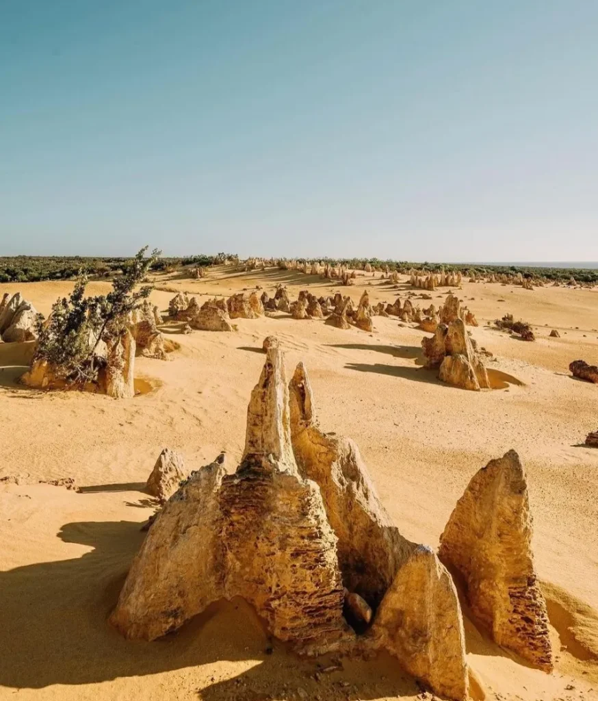 Pinnacles Desert