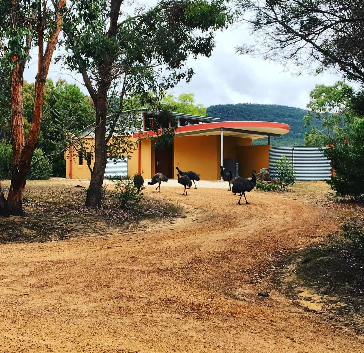 Unique Accommodations in the Grampians National Park