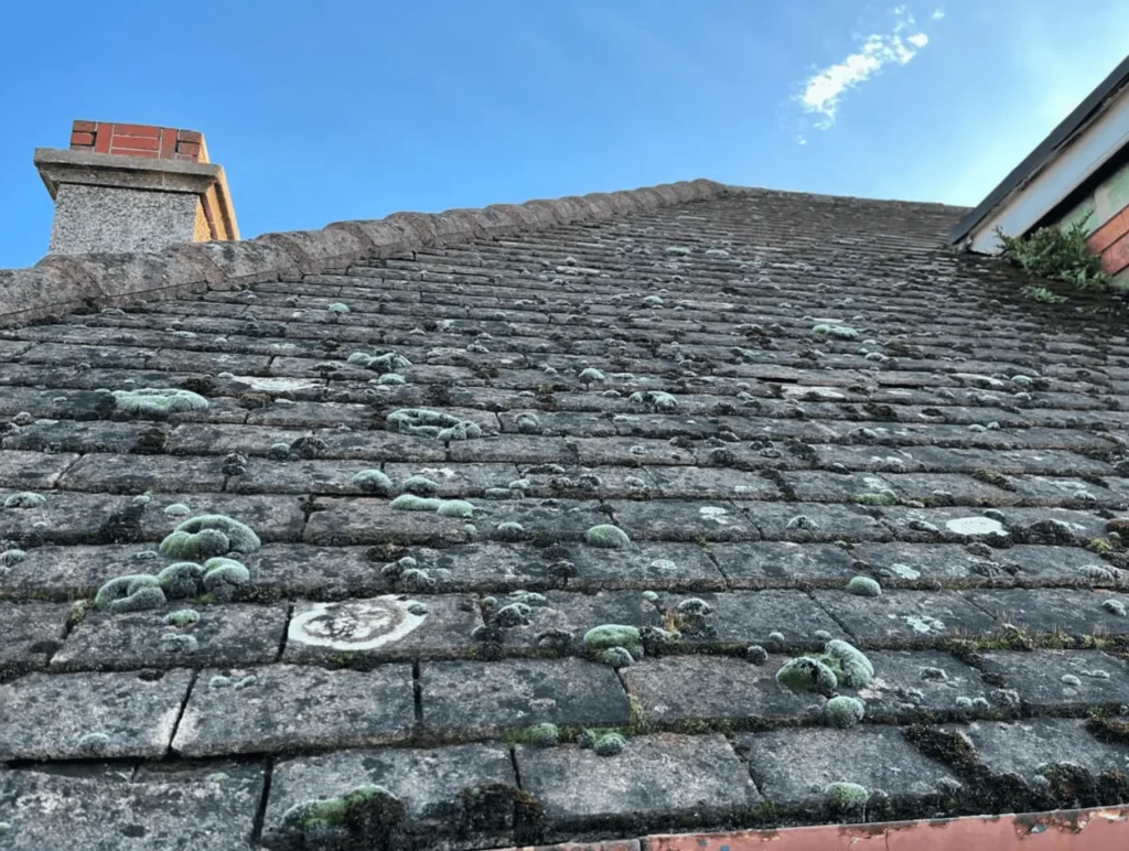 Yosemite Stock | How to Safely Pressure Wash Different Surfaces of Your Home When to Hire Professional Pressure Washing Services